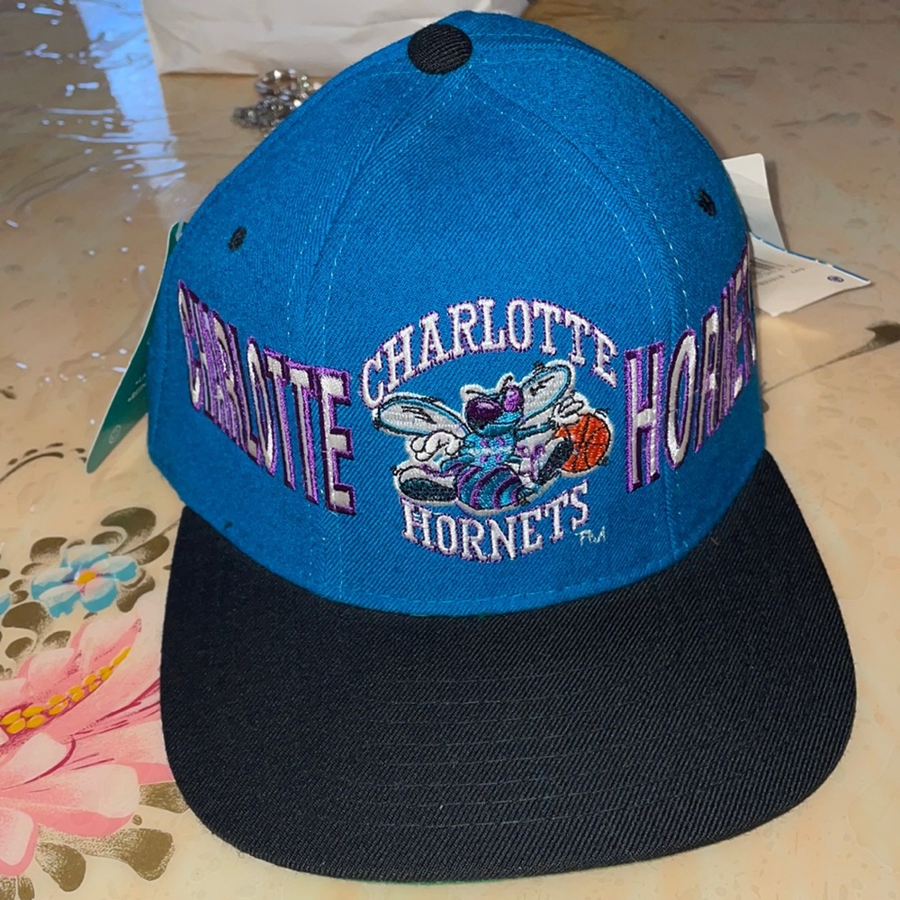 Charlotte hornets basketball team hat